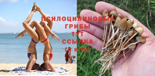 кокаин VHQ Болотное