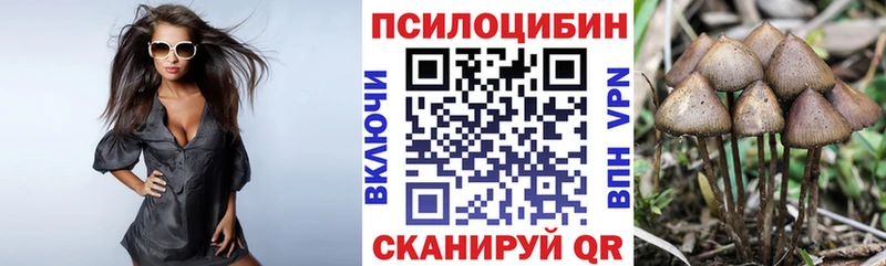 гидра как зайти  Осташков  Галлюциногенные грибы ЛСД  как найти наркотики 