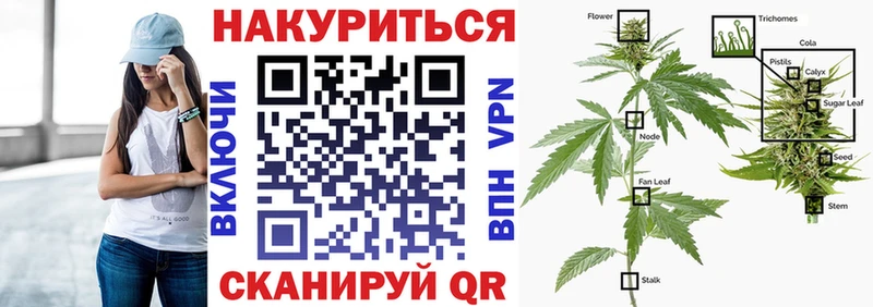 Бошки Шишки семена  даркнет сайт  Осташков 